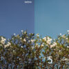b5